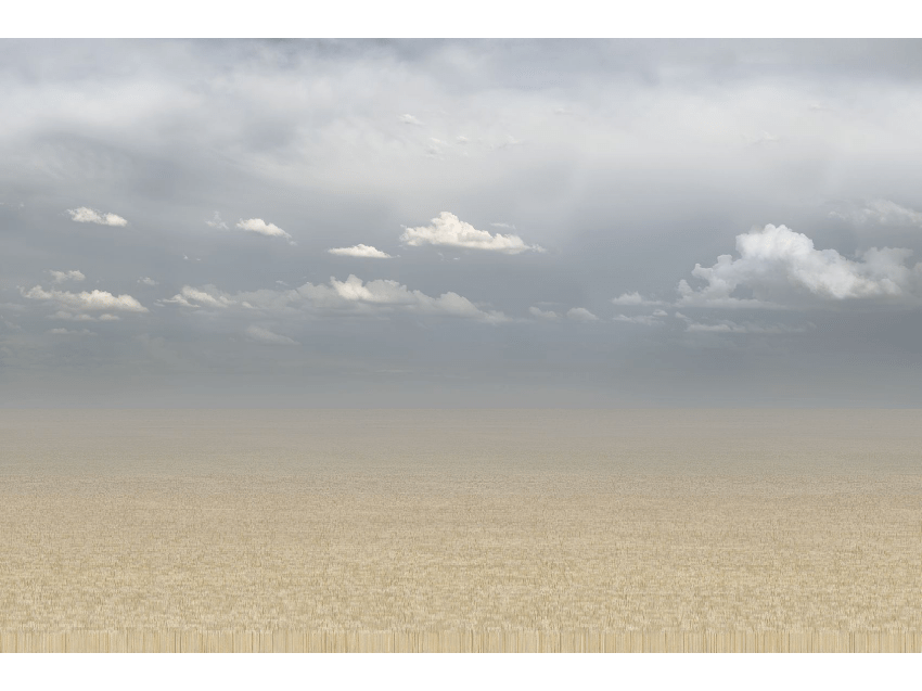 toothpicks by Chris Jordan